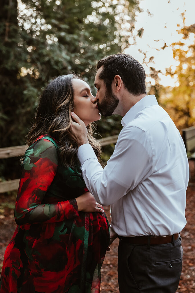 Sonoma County Maternity Photographer